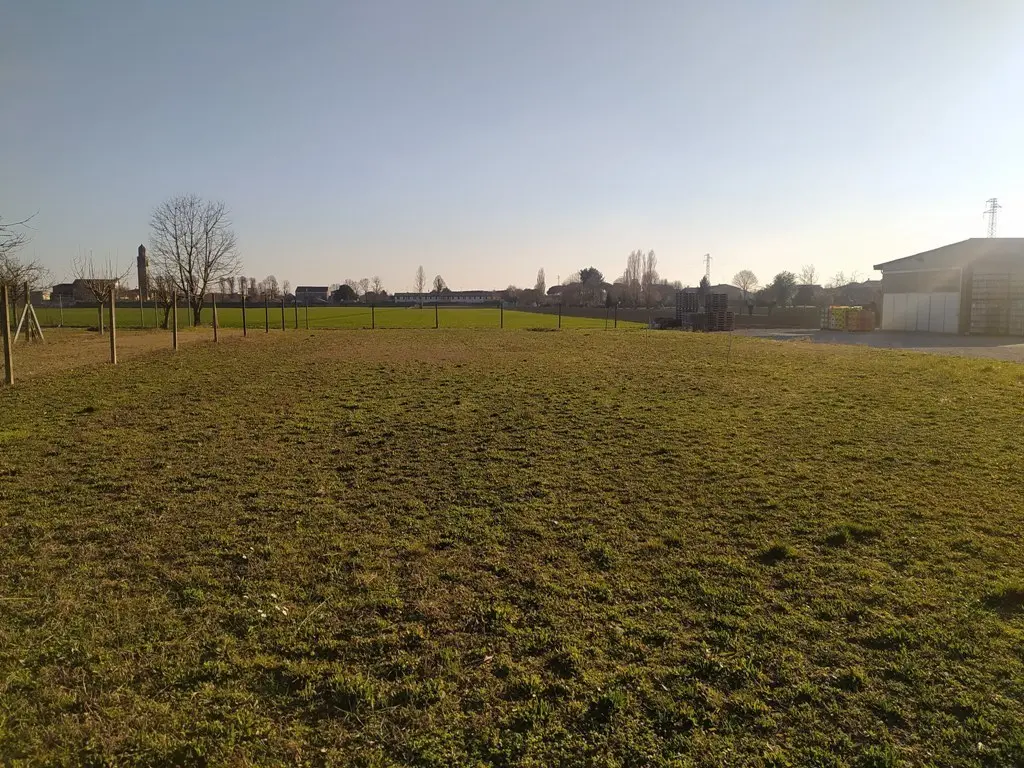 Immagine per Industriale in vendita a Pontecchio Polesine via Ghetto
