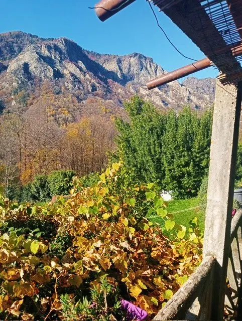 Immagine per Rustico in vendita a Perosa Argentina via Borgata Serre