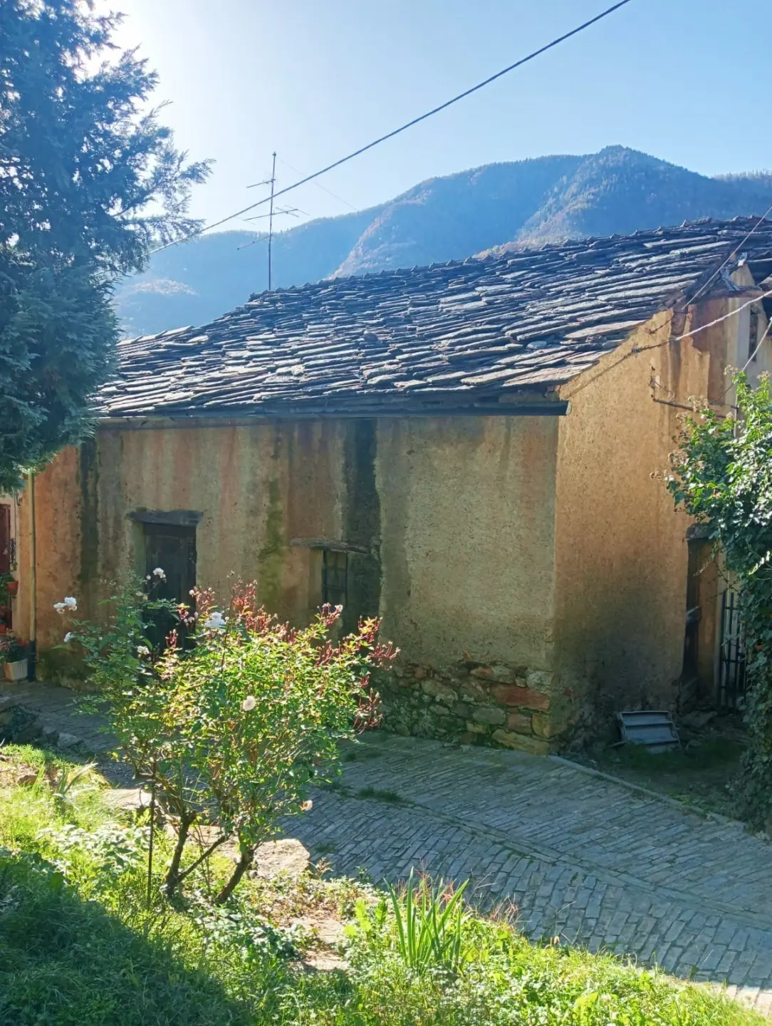 Immagine per Rustico in vendita a Perosa Argentina via Borgata Serre