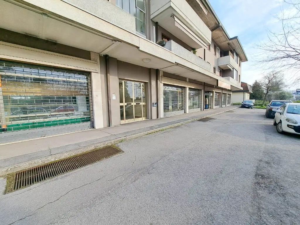 Immagine per Negozio in affitto a Rovigo viale Porta Adige 18