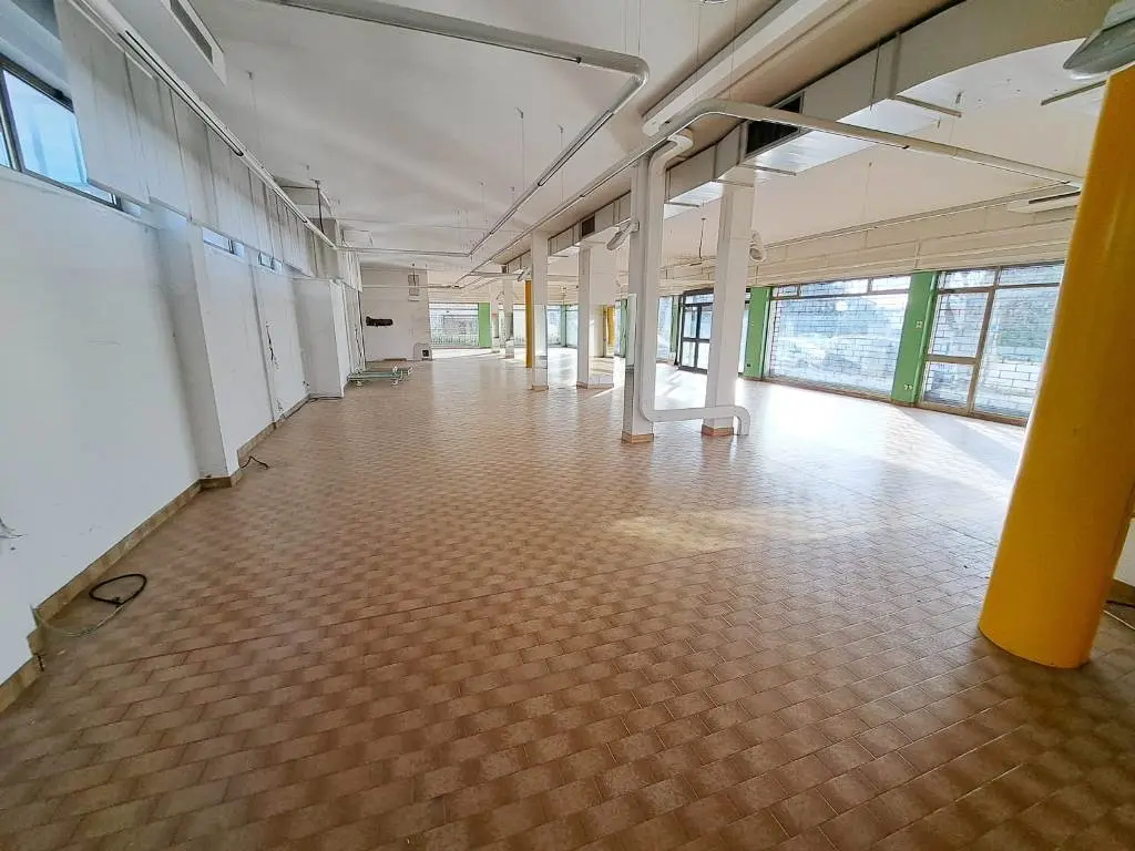 Immagine per Negozio in affitto a Rovigo viale Porta Adige 18