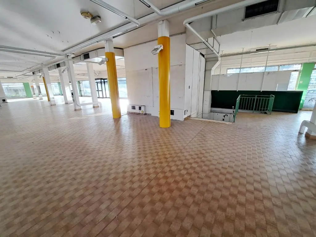 Immagine per Negozio in affitto a Rovigo viale Porta Adige 18