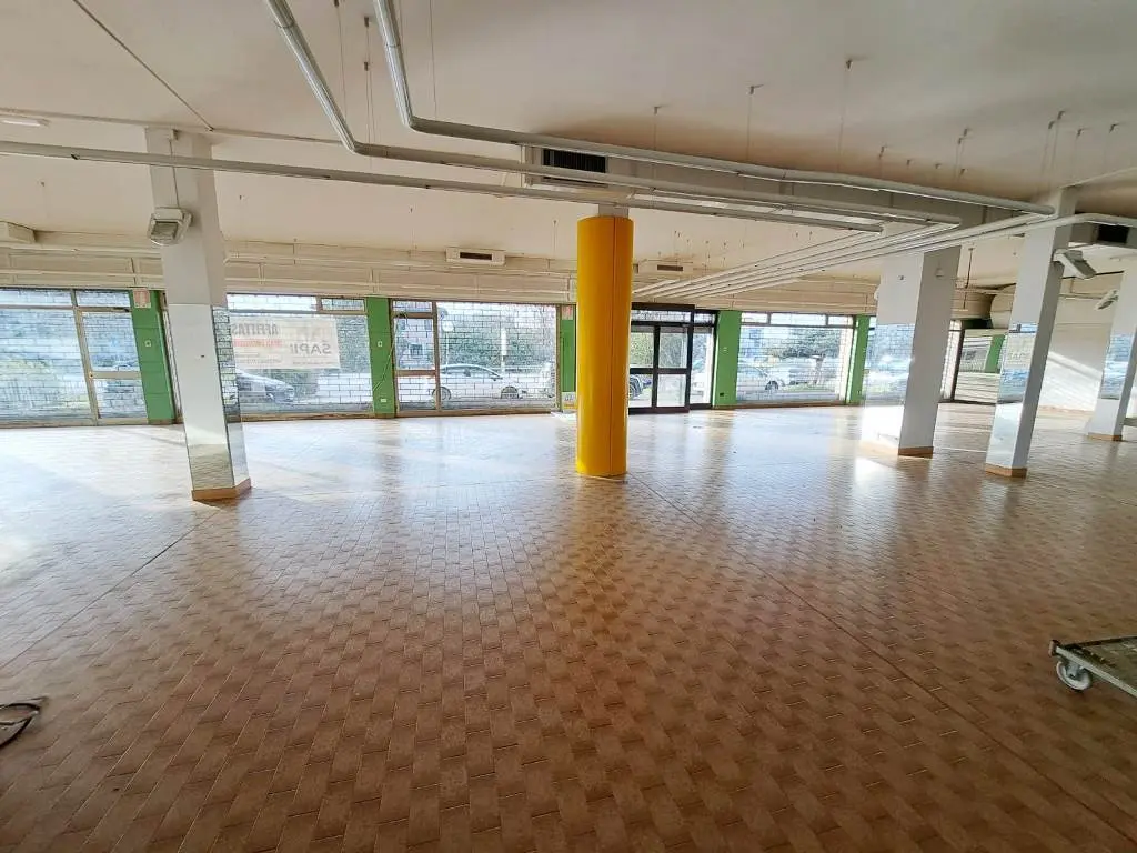 Immagine per Negozio in affitto a Rovigo viale Porta Adige 18