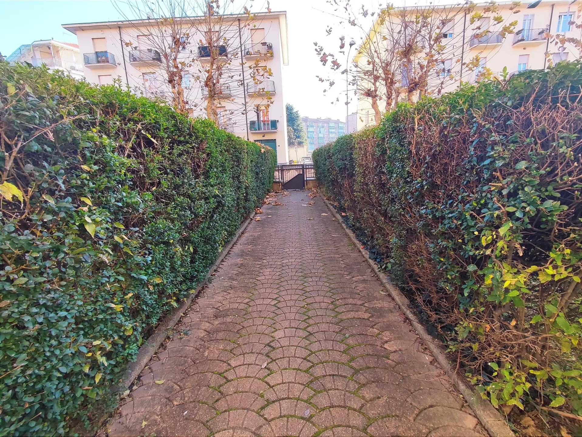 Immagine per Quadrilocale in vendita a Venaria Reale via Pietro Motrassino 8/d