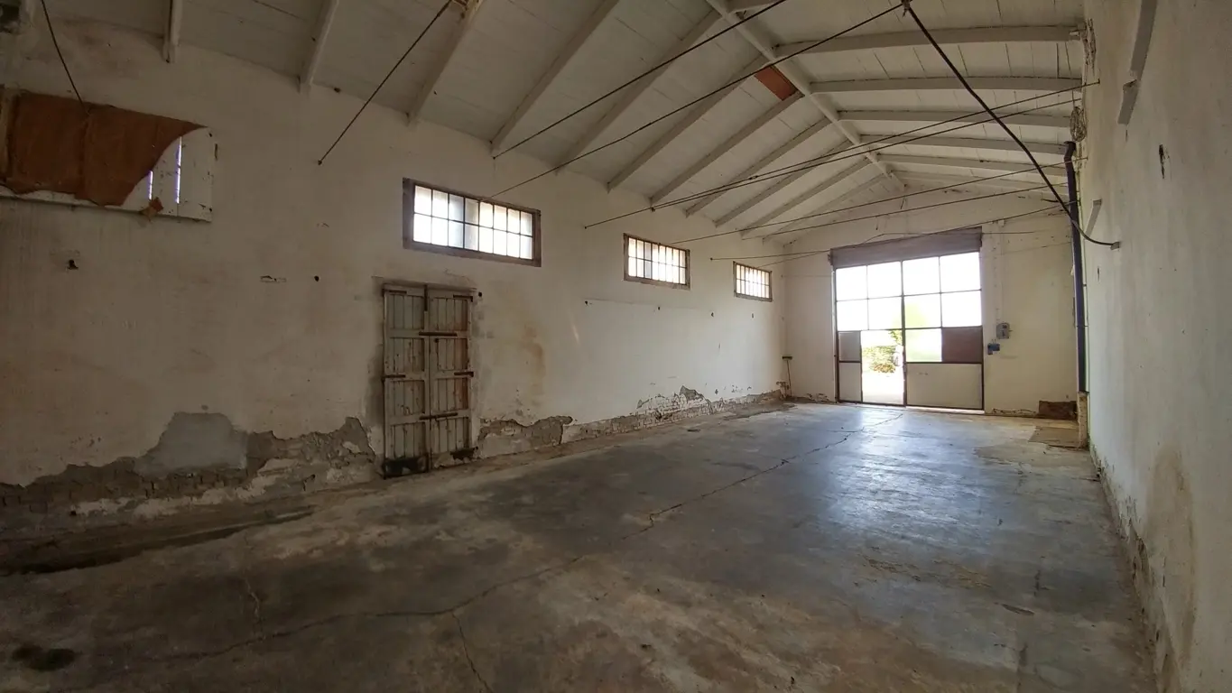 Immagine per Industriale in vendita a Novellara