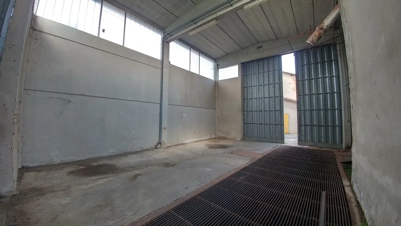 Immagine per Industriale in vendita a Novellara