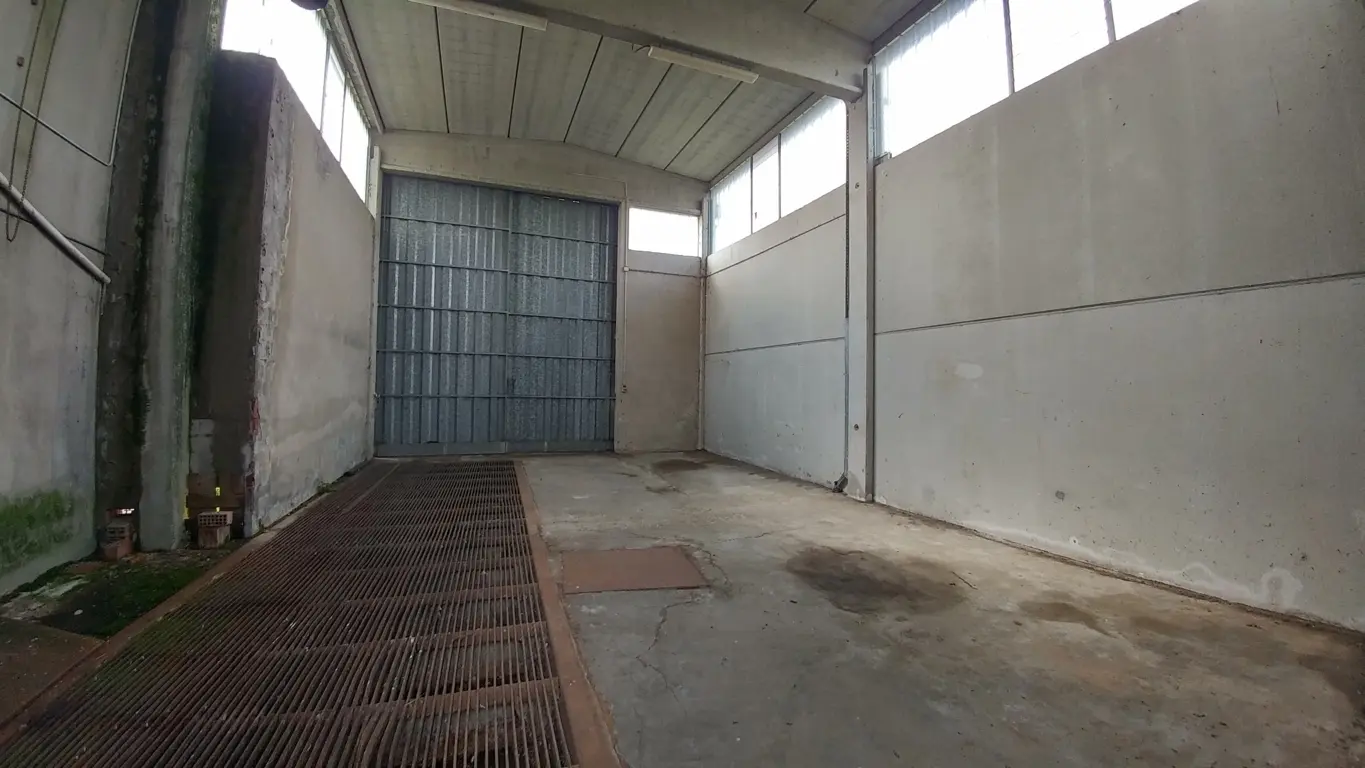 Immagine per Industriale in vendita a Novellara
