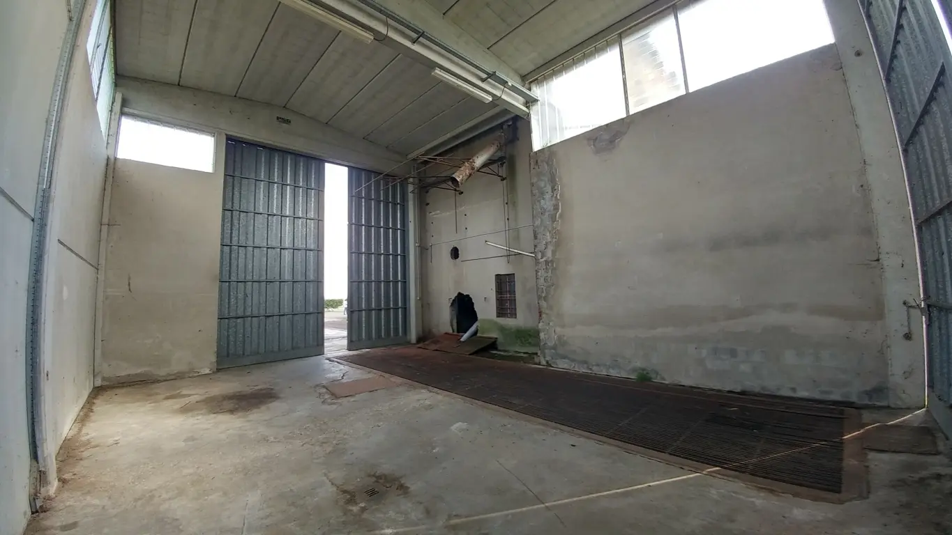 Immagine per Industriale in vendita a Novellara