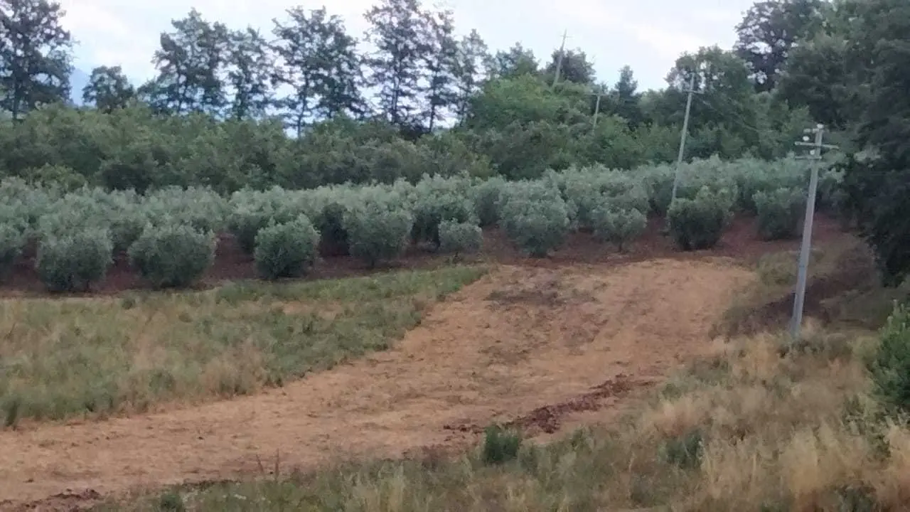 Immagine per Villa in vendita a Guardea via Frattuccia