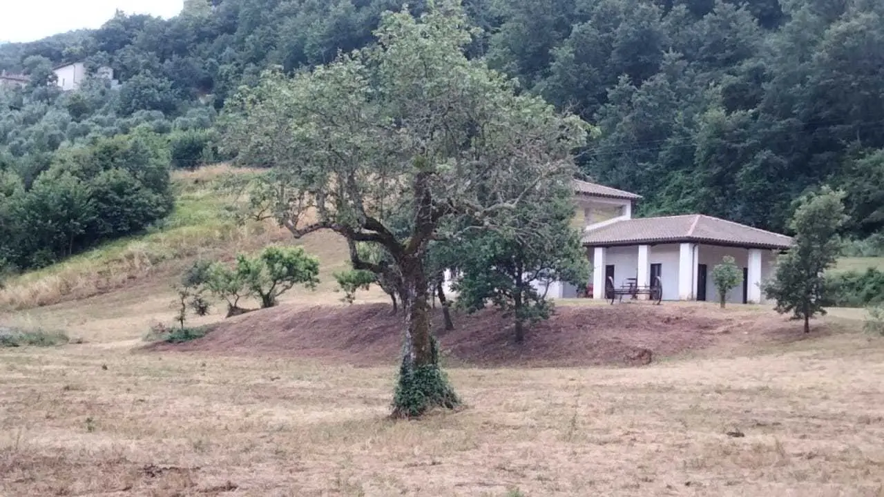 Immagine per Villa in vendita a Guardea via Frattuccia