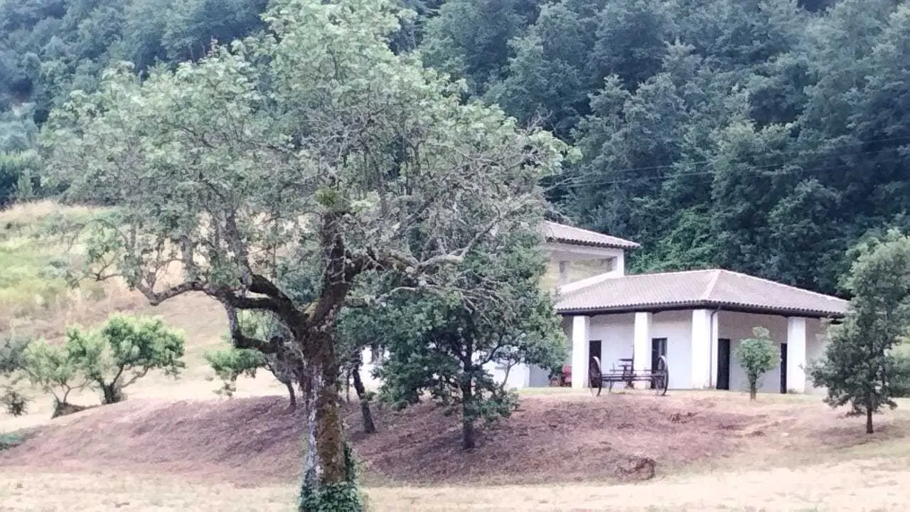 Immagine per Villa in vendita a Guardea via Frattuccia