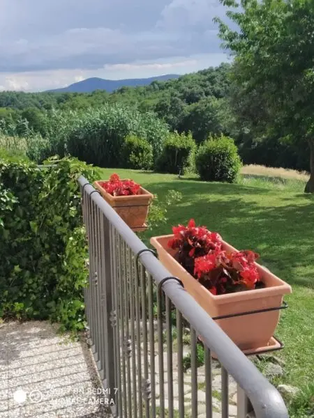 Casale strada Del Poggio, Avigliano Umbro