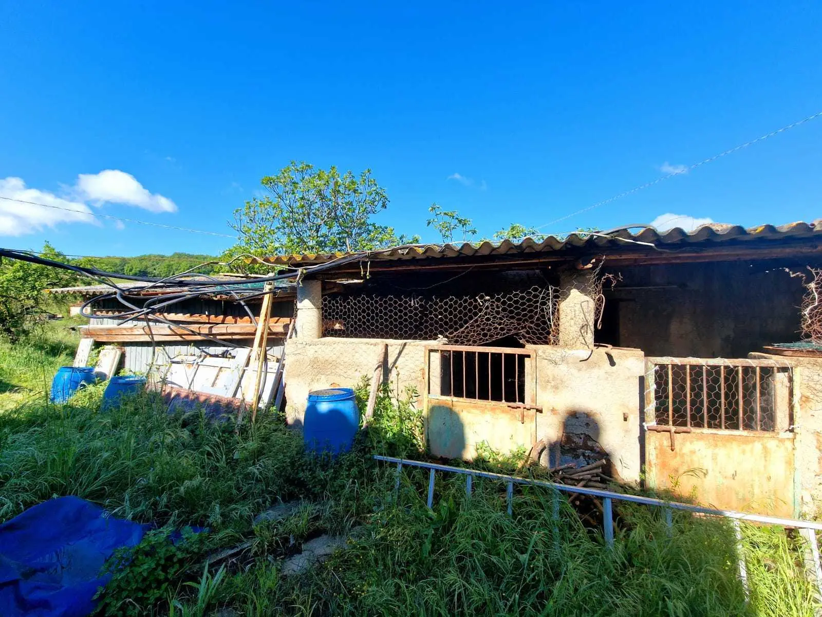 Immagine per Casale in vendita a Amelia strada Ortana