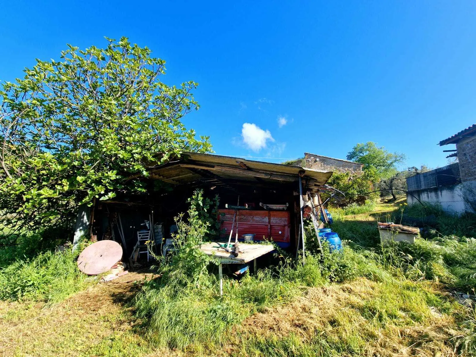 Immagine per Casale in vendita a Amelia strada Ortana