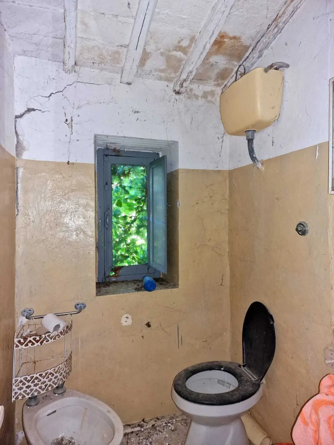 Immagine per Casale in vendita a Amelia strada Ortana