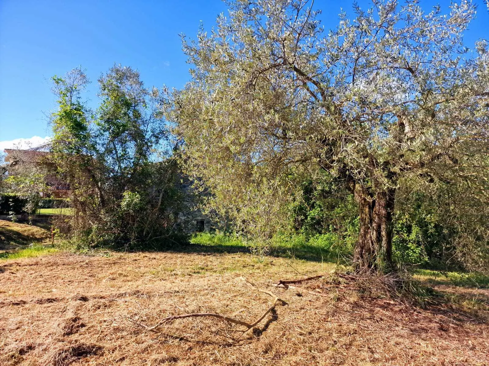 Immagine per Casale in vendita a Amelia strada Ortana