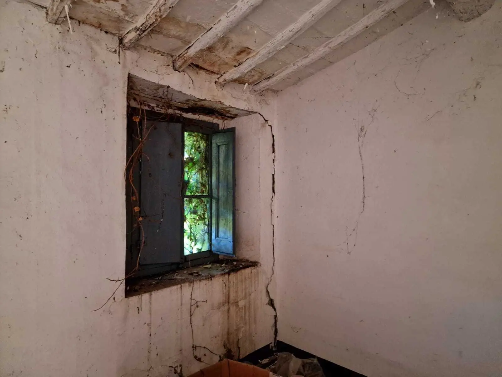 Immagine per Casale in vendita a Amelia strada Ortana
