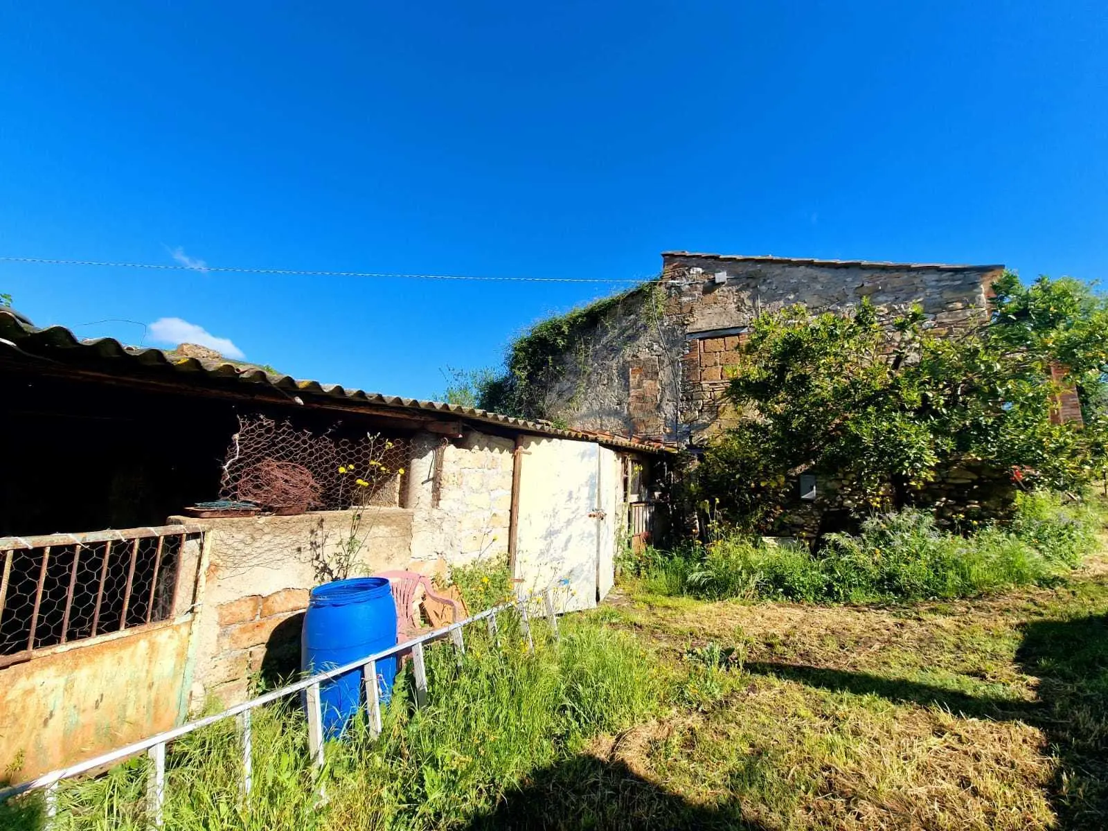 Immagine per Casale in vendita a Amelia strada Ortana