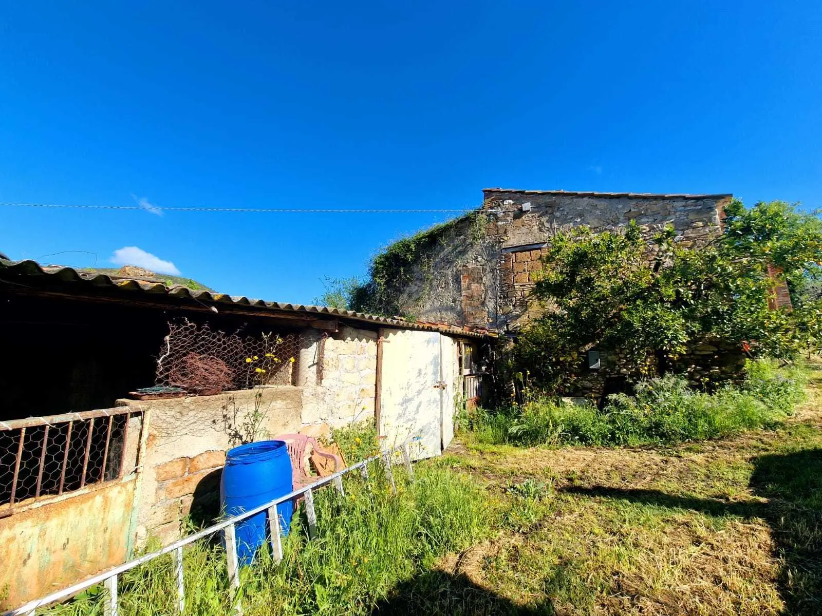 Immagine per Casale in vendita a Amelia strada Ortana
