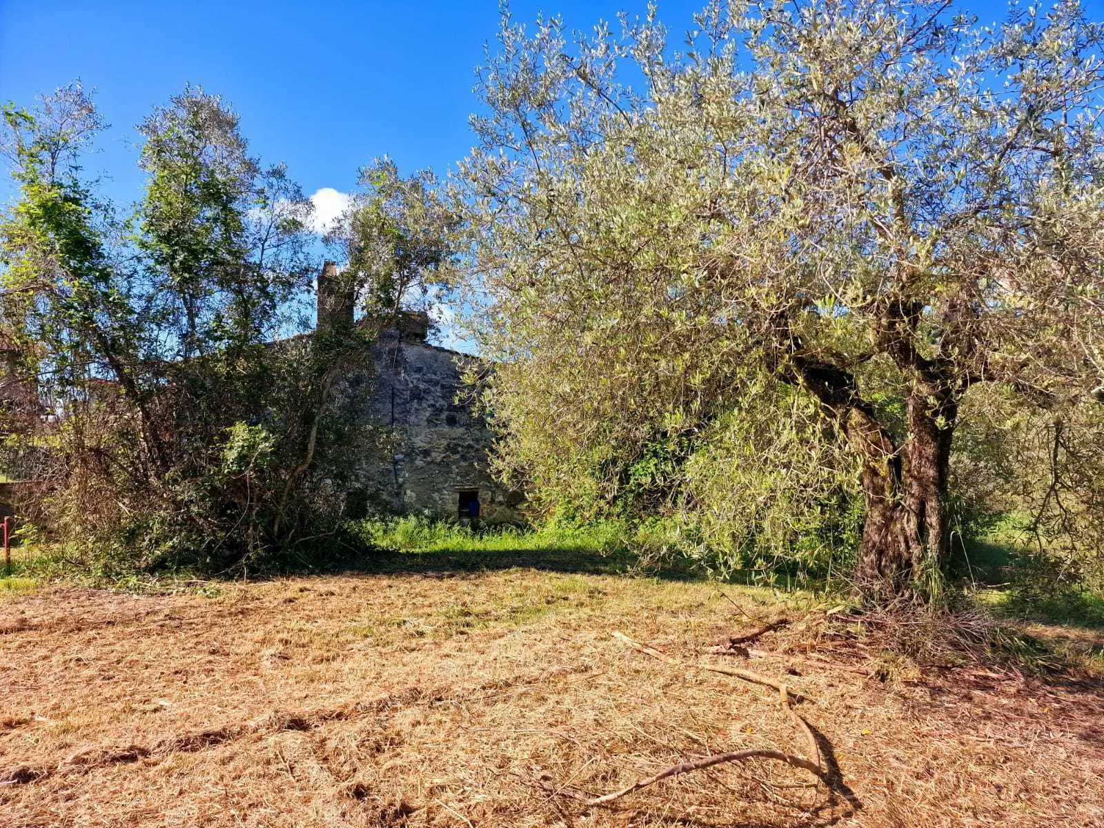 Immagine per Casale in vendita a Amelia strada Ortana