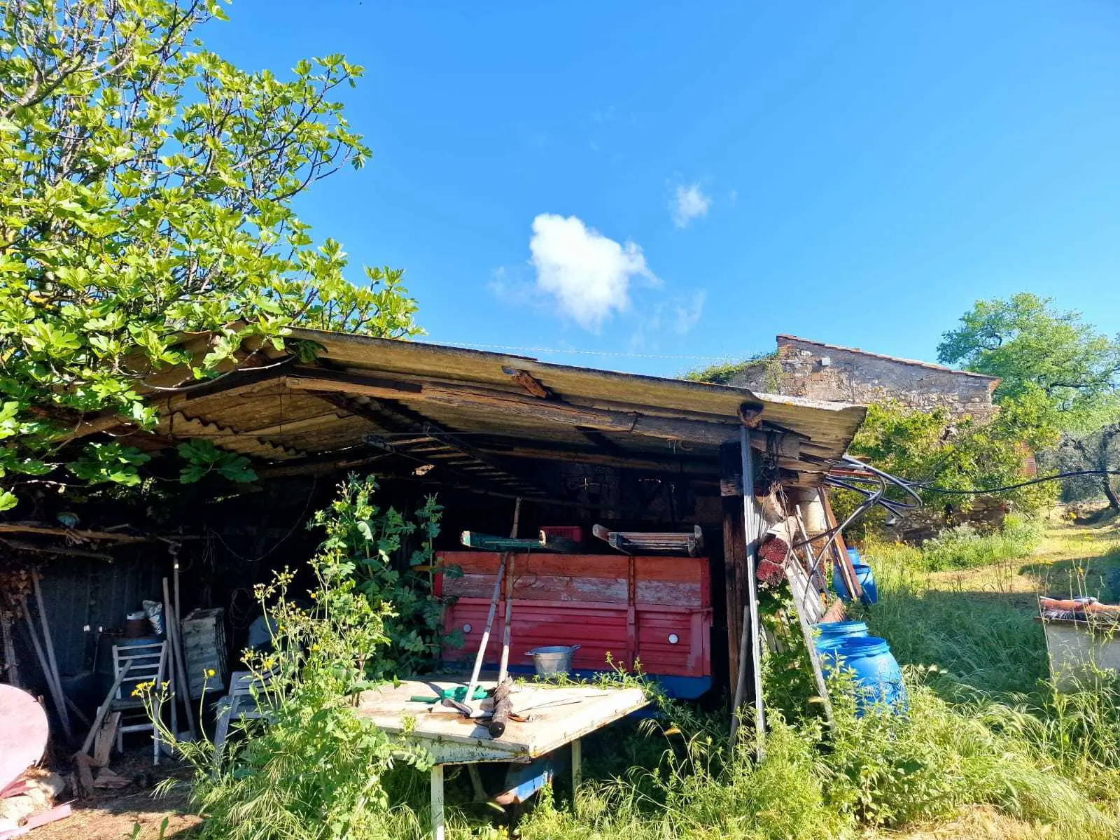 Immagine per Casale in vendita a Amelia strada Ortana
