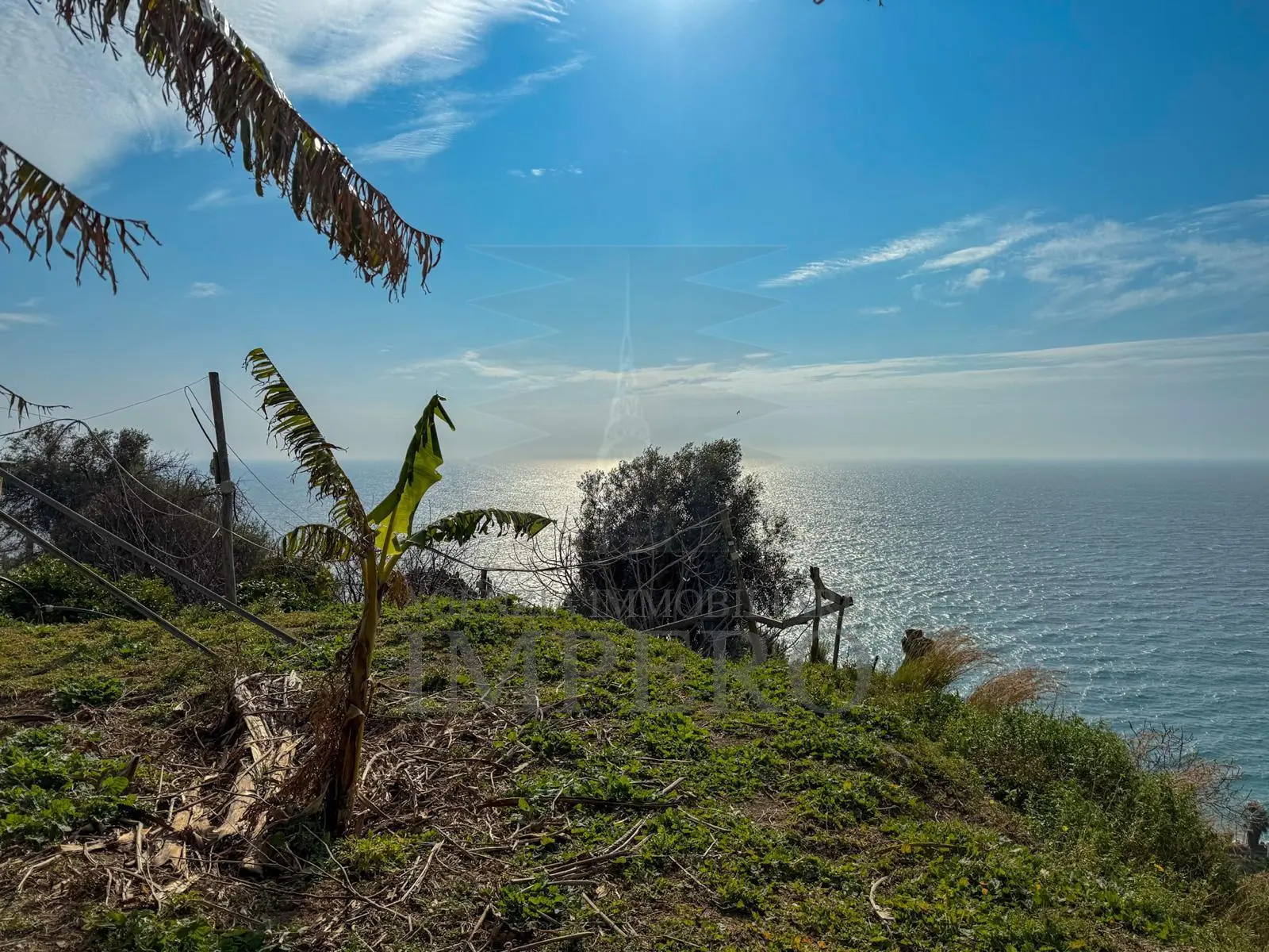 Immagine per Villa in vendita a Bordighera strada Della Cava 18