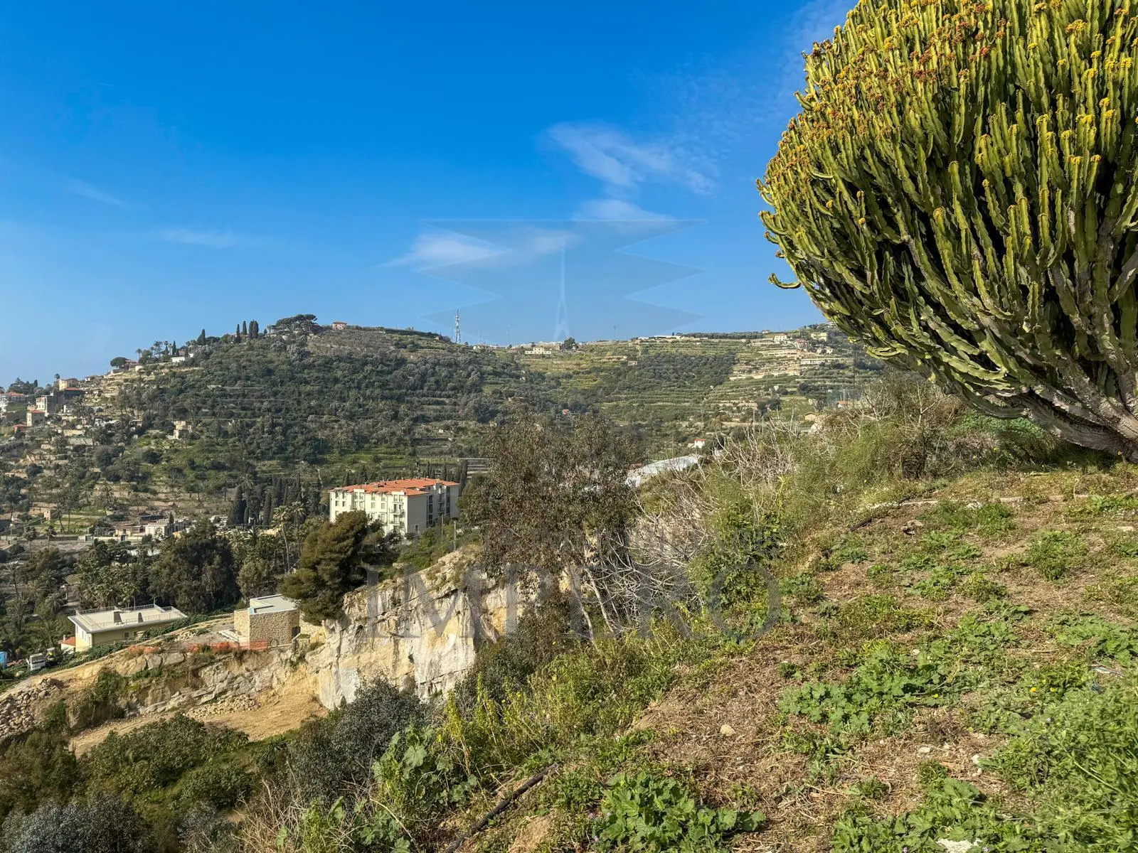 Immagine per Villa in vendita a Bordighera strada Della Cava 18