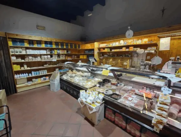Capannone via Dandini, Cesena