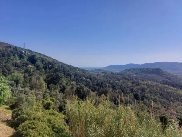 Terratetto via Belvedere 13, Sarzana
