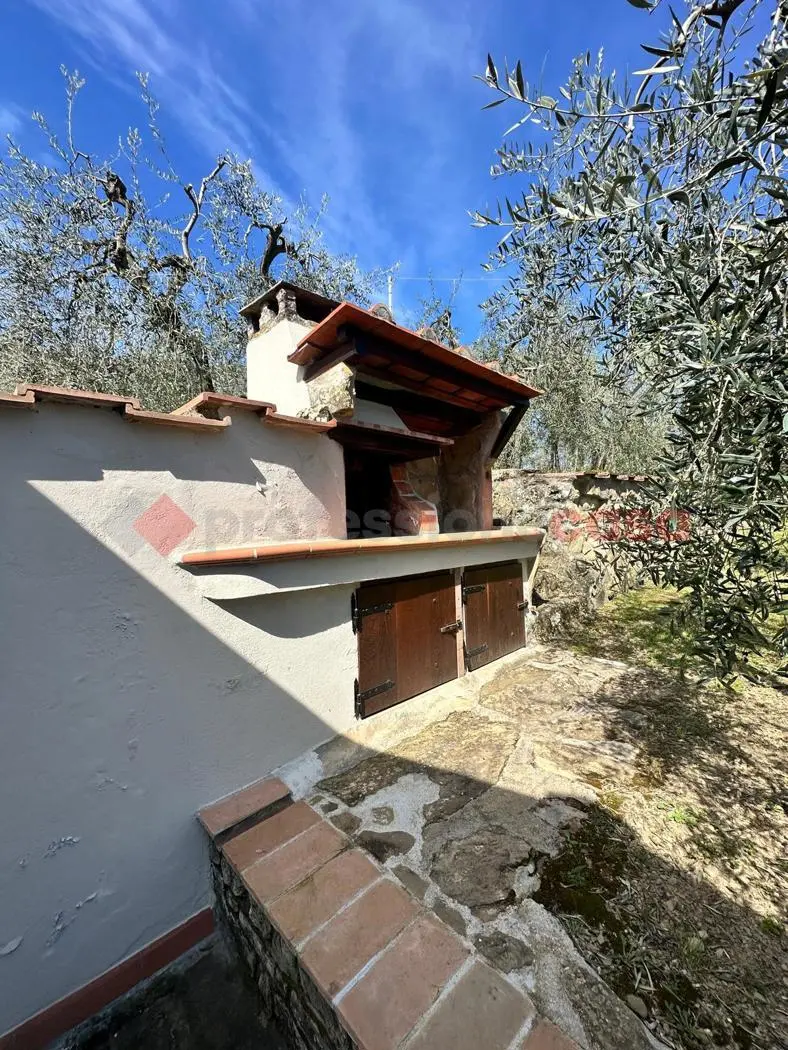 Immagine per Terreno Agricolo in vendita a Arezzo