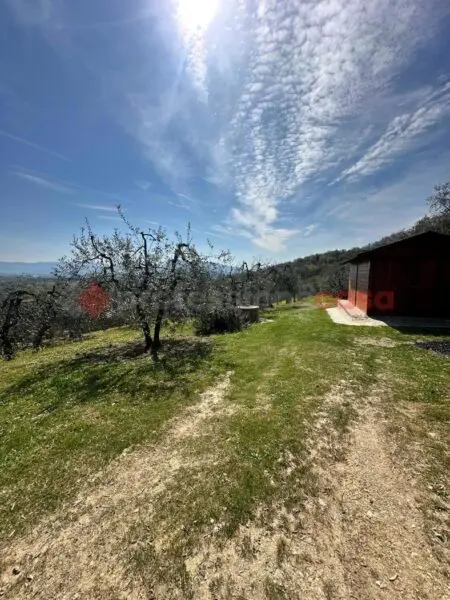 Terreno Agricolo Arezzo