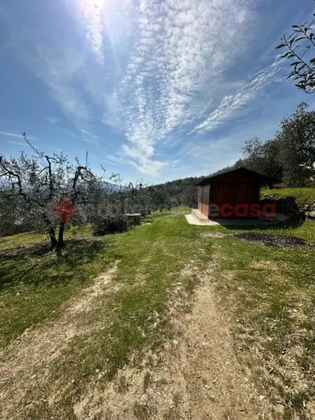 Terreno Agricolo Arezzo