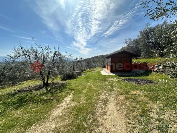 Terreno Agricolo Arezzo
