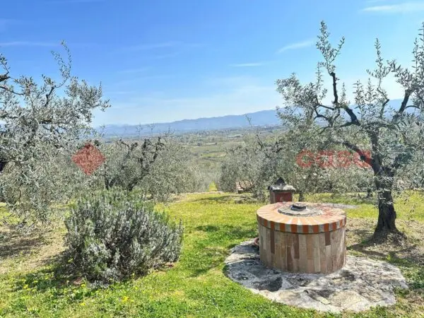 Terreno Agricolo Arezzo
