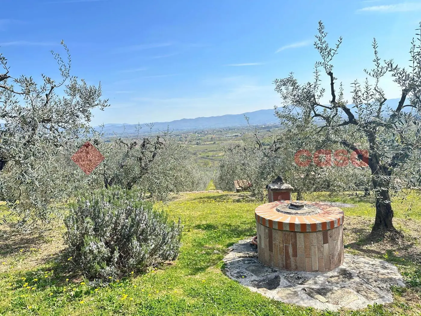 Immagine per Terreno Agricolo in vendita a Arezzo