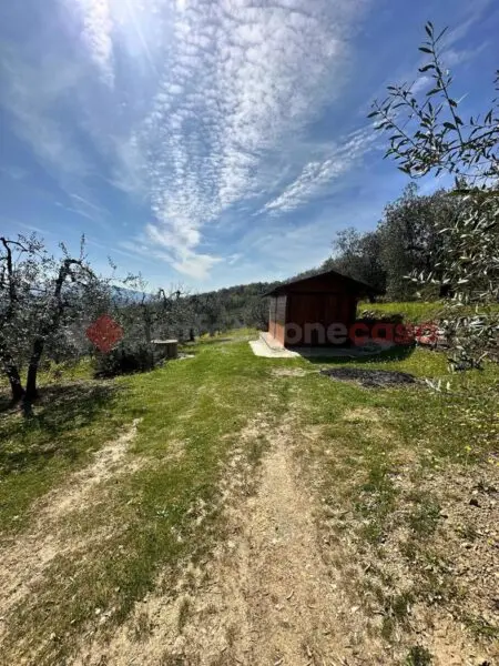 Terreno Agricolo Arezzo