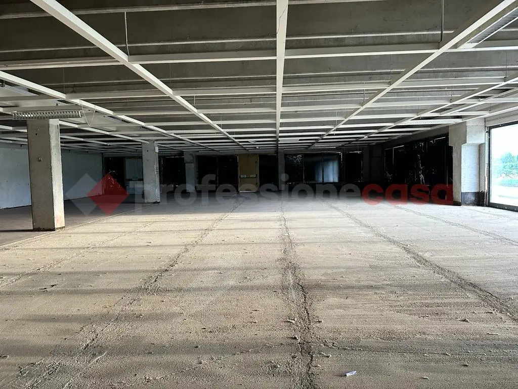 Immagine per Capannone Industriale in affitto a Arezzo