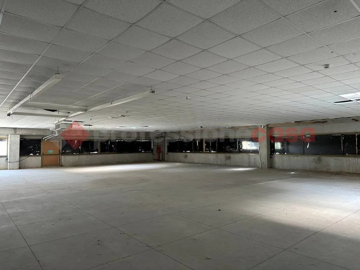 Immagine per Capannone Industriale in affitto a Arezzo