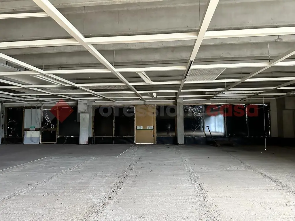 Immagine per Capannone Industriale in affitto a Arezzo
