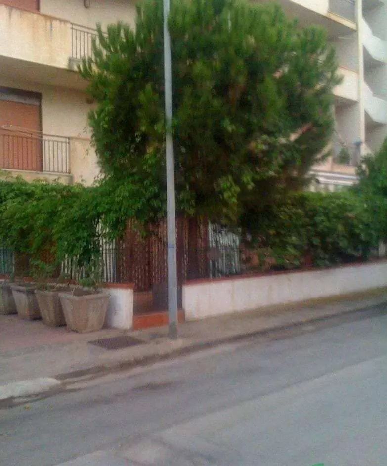 Immagine per Appartamento in vendita a Pollina