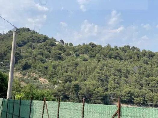 Terreno Agricolo strada Provinciale Piani Di Dolcedo Snc, Taggia