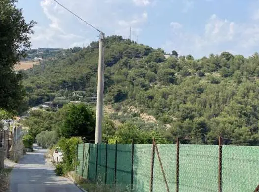 Terreno Agricolo strada Provinciale Piani Di Dolcedo Snc, Taggia
