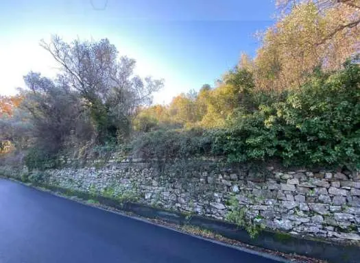 Terreno Agricolo strada Provinciale Piani Di Dolcedo Snc, Taggia