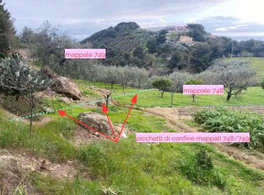 Terreno Agricolo strada Provinciale Piani Di Dolcedo Snc, Taggia