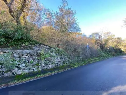 Terreno Agricolo strada Provinciale Piani Di Dolcedo Snc, Taggia