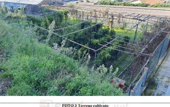 Immagine per Rustico in asta a Camporosso via Braie 480