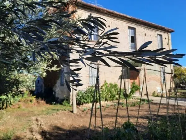 Villa Trifamiliare via Del Cacciatore 25, San Benedetto Del Tronto