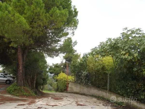 Capannone via Fermi, Acquaviva Picena