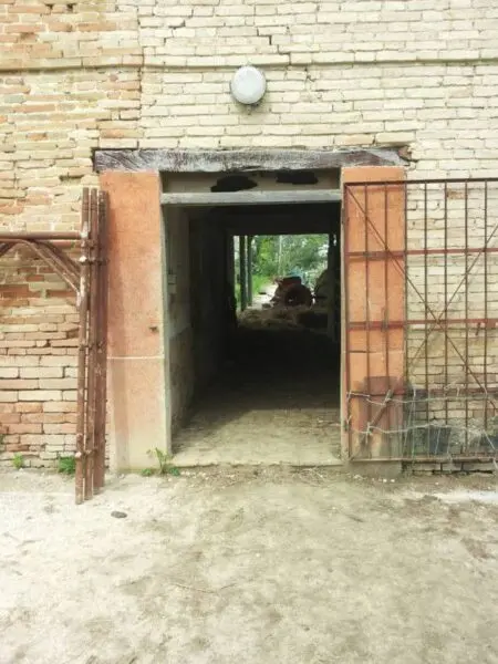 Villa Trifamiliare via Cannella 1, Mondavio