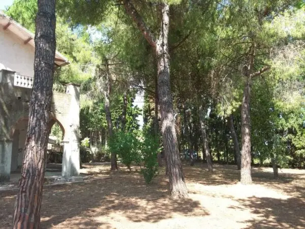 Villa Trifamiliare via Vascello, Tortoreto